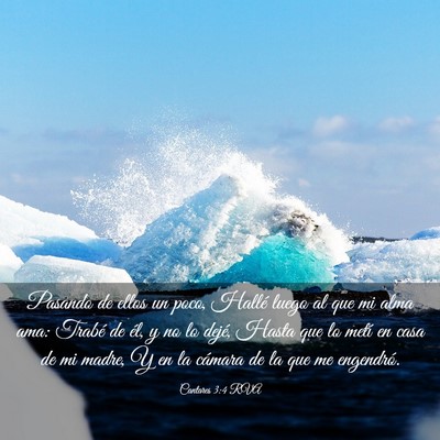 Picture 03 - Cantares 3:4 RVA - Pasando de ellos un poco, Hallé luego al que mi - Bible Verse Picture