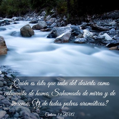Picture 03 - Cantares 3:6 RVA - ¿Quién es ésta que sube del desierto como - Bible Verse Picture