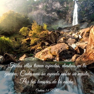 Picture 03 - Cantares 3:8 RVA - Todos ellos tienen espadas, diestros en la - Bible Verse Picture