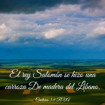 Picture 03 - Cantares 3:9 RVA - El rey Salomón se hizo una carroza De madera del - Bible Verse Picture