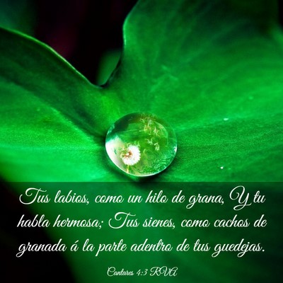 Picture 03 - Cantares 4:3 RVA - Tus labios, como un hilo de grana, Y tu habla - Bible Verse Picture