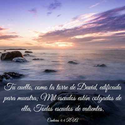 Picture 03 - Cantares 4:4 RVA - Tu cuello, como la torre de David, edificada para - Bible Verse Picture