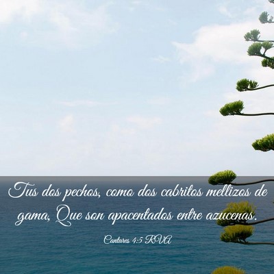 Picture 03 - Cantares 4:5 RVA - Tus dos pechos, como dos cabritos mellizos de - Bible Verse Picture