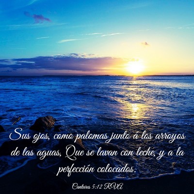 Picture 03 - Cantares 5:12 RVA - Sus ojos, como palomas junto á los arroyos de - Bible Verse Picture