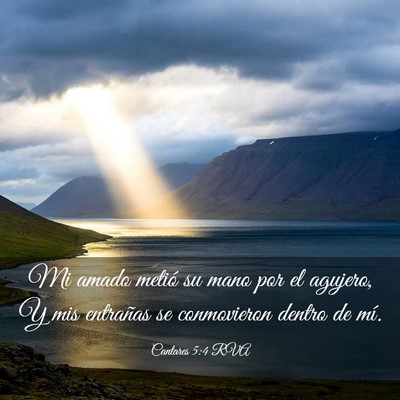 Picture 03 - Cantares 5:4 RVA - Mi amado metió su mano por el agujero, Y mis - Bible Verse Picture