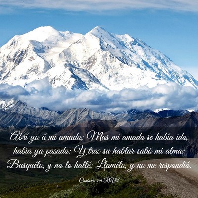 Picture 03 - Cantares 5:6 RVA - Abrí yo á mi amado; Mas mi amado se había ido, - Bible Verse Picture