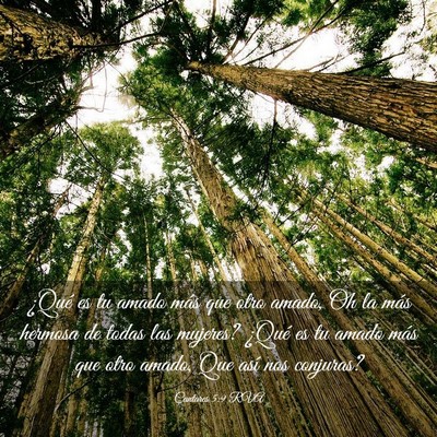 Picture 03 - Cantares 5:9 RVA - ¿Qué es tu amado más que otro amado, Oh la - Bible Verse Picture