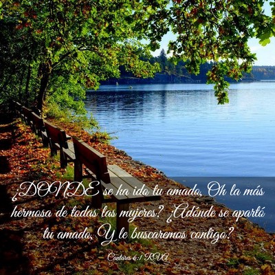 Picture 03 - Cantares 6:1 RVA - ¿DONDE se ha ido tu amado, Oh la más hermosa de - Bible Verse Picture