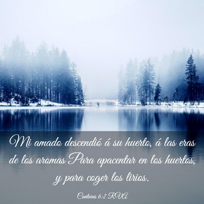 Picture 03 - Cantares 6:2 RVA - Mi amado descendió á su huerto, á las eras de - Bible Verse Picture