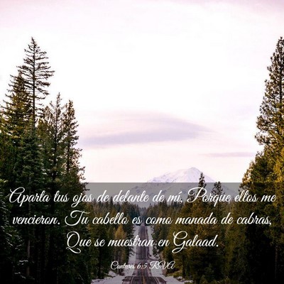 Picture 03 - Cantares 6:5 RVA - Aparta tus ojos de delante de mí, Porque ellos - Bible Verse Picture