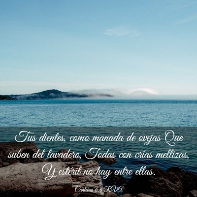 Picture 03 - Cantares 6:6 RVA - Tus dientes, como manada de ovejas Que suben del - Bible Verse Picture