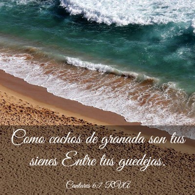 Picture 03 - Cantares 6:7 RVA - Como cachos de granada son tus sienes Entre tus - Bible Verse Picture