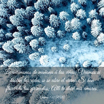 Picture 03 - Cantares 7:12 RVA - Levantémonos de mañana á las viñas; Veamos si - Bible Verse Picture