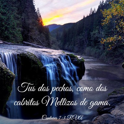 Picture 03 - Cantares 7:3 RVA - Tus dos pechos, como dos cabritos Mellizos de - Bible Verse Picture