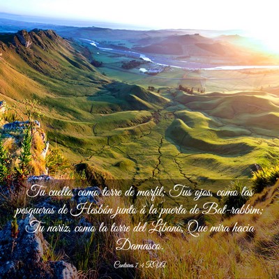 Picture 03 - Cantares 7:4 RVA - Tu cuello, como torre de marfil; Tus ojos, como - Bible Verse Picture