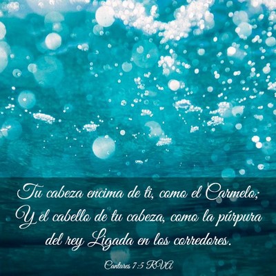 Picture 03 - Cantares 7:5 RVA - Tu cabeza encima de ti, como el Carmelo; Y el - Bible Verse Picture