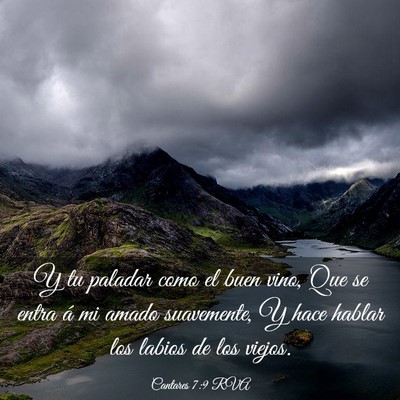 Picture 03 - Cantares 7:9 RVA - Y tu paladar como el buen vino, Que se entra á - Bible Verse Picture