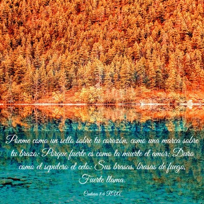 Picture 03 - Cantares 8:6 RVA - Ponme como un sello sobre tu corazón, como una - Bible Verse Picture