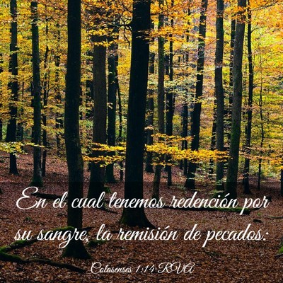 Picture 03 - Colosenses 1:14 RVA - En el cual tenemos redención por su sangre, la - Bible Verse Picture