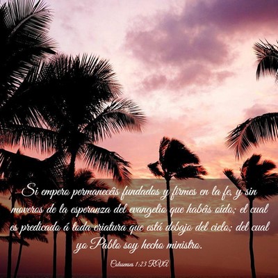 Picture 03 - Colosenses 1:23 RVA - Si empero permanecéis fundados y firmes en la - Bible Verse Picture