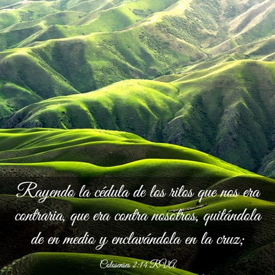 Picture 03 - Colosenses 2:14 RVA - Rayendo la cédula de los ritos que nos era - Bible Verse Picture
