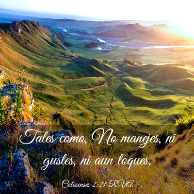 Picture 03 - Colosenses 2:21 RVA - Tales como, No manejes, ni gustes, ni aun - Bible Verse Picture