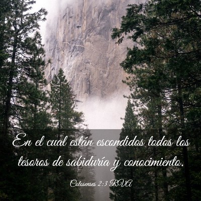 Picture 03 - Colosenses 2:3 RVA - En el cual están escondidos todos los tesoros de - Bible Verse Picture