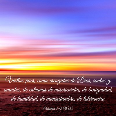 Picture 03 - Colosenses 3:12 RVA - Vestíos pues, como escogidos de Dios, santos y - Bible Verse Picture