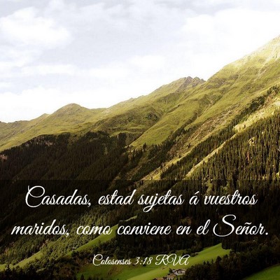Picture 03 - Colosenses 3:18 RVA - Casadas, estad sujetas á vuestros maridos, como - Bible Verse Picture