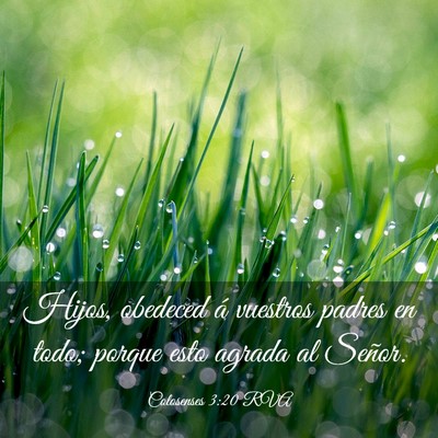 Picture 03 - Colosenses 3:20 RVA - Hijos, obedeced á vuestros padres en todo; - Bible Verse Picture