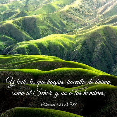 Picture 03 - Colosenses 3:23 RVA - Y todo lo que hagáis, hacedlo de ánimo, como al - Bible Verse Picture