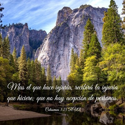 Picture 03 - Colosenses 3:25 RVA - Mas el que hace injuria, recibirá la injuria que - Bible Verse Picture