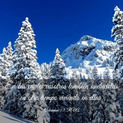 Picture 03 - Colosenses 3:7 RVA - En las cuales vosotros también anduvisteis en - Bible Verse Picture