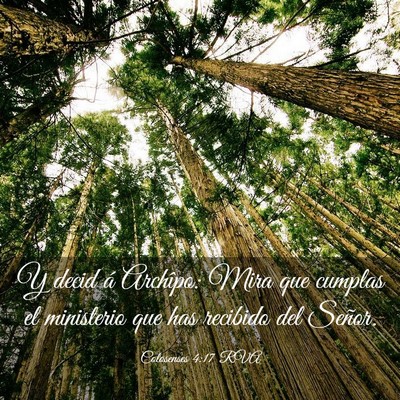 Picture 03 - Colosenses 4:17 RVA - Y decid á Archîpo: Mira que cumplas el - Bible Verse Picture