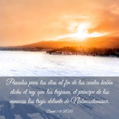 Picture 03 - Daniel 1:18 RVA - Pasados pues los días al fin de los cuales - Bible Verse Picture