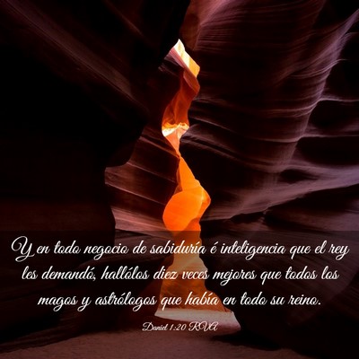 Picture 03 - Daniel 1:20 RVA - Y en todo negocio de sabiduría é inteligencia - Bible Verse Picture