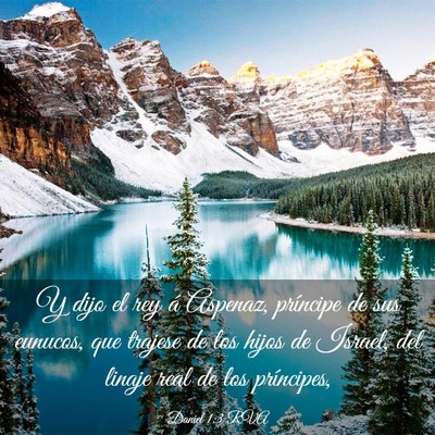 Picture 03 - Daniel 1:3 RVA - Y dijo el rey á Aspenaz, príncipe de sus - Bible Verse Picture