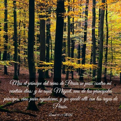 Picture 03 - Daniel 10:13 RVA - Mas el príncipe del reino de Persia se puso - Bible Verse Picture