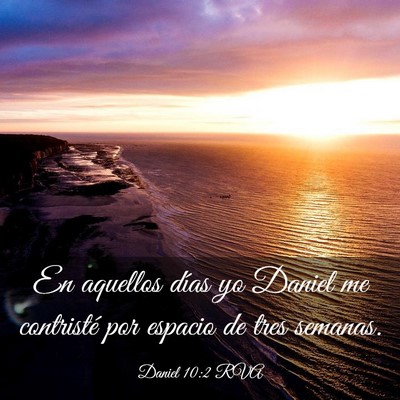 Picture 03 - Daniel 10:2 RVA - En aquellos días yo Daniel me contristé por - Bible Verse Picture