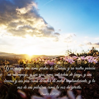 Picture 03 - Daniel 10:6 RVA - Y su cuerpo era como piedra de Tarsis, y su - Bible Verse Picture