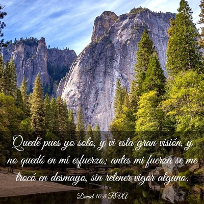 Picture 03 - Daniel 10:8 RVA - Quedé pues yo solo, y vi esta gran visión, y no - Bible Verse Picture