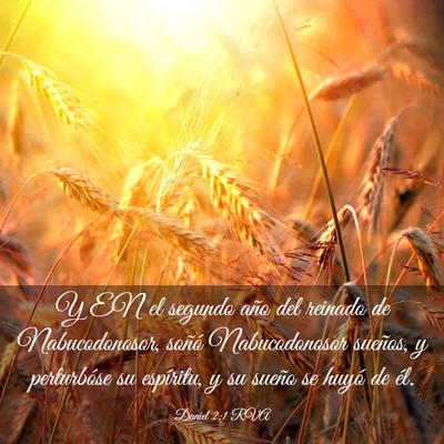 Picture 03 - Daniel 2:1 RVA - Y EN el segundo año del reinado de - Bible Verse Picture