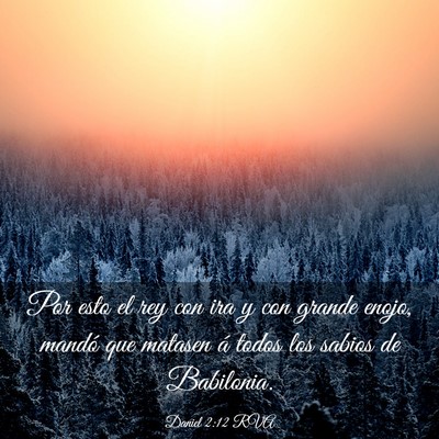 Picture 03 - Daniel 2:12 RVA - Por esto el rey con ira y con grande enojo, - Bible Verse Picture