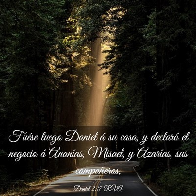 Picture 03 - Daniel 2:17 RVA - Fuése luego Daniel á su casa, y declaró el - Bible Verse Picture