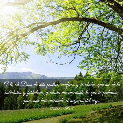 Picture 03 - Daniel 2:23 RVA - A ti, oh Dios de mis padres, confieso y te alabo, - Bible Verse Picture