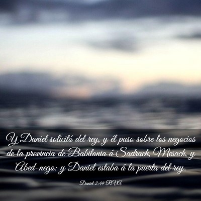 Picture 03 - Daniel 2:49 RVA - Y Daniel solicitó del rey, y él puso sobre los - Bible Verse Picture