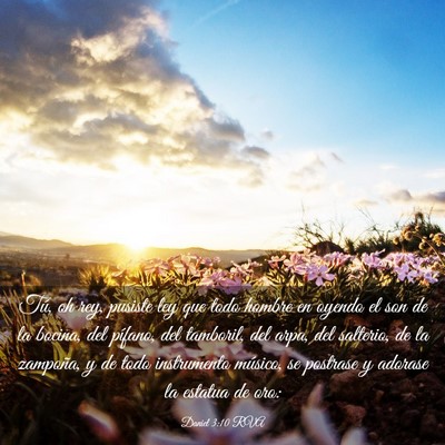 Picture 03 - Daniel 3:10 RVA - Tú, oh rey, pusiste ley que todo hombre en - Bible Verse Picture