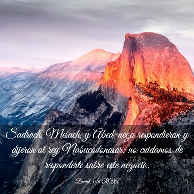 Picture 03 - Daniel 3:16 RVA - Sadrach, Mesach, y Abed-nego respondieron y - Bible Verse Picture