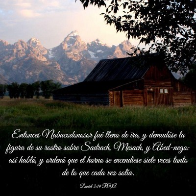 Picture 03 - Daniel 3:19 RVA - Entonces Nabucodonosor fué lleno de ira, y - Bible Verse Picture
