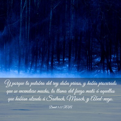 Picture 03 - Daniel 3:22 RVA - Y porque la palabra del rey daba priesa, y había - Bible Verse Picture